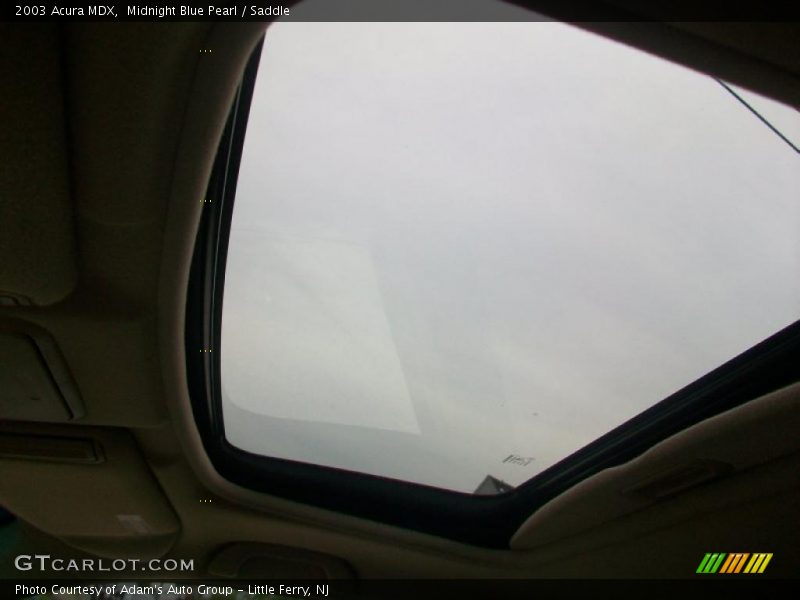 Midnight Blue Pearl / Saddle 2003 Acura MDX
