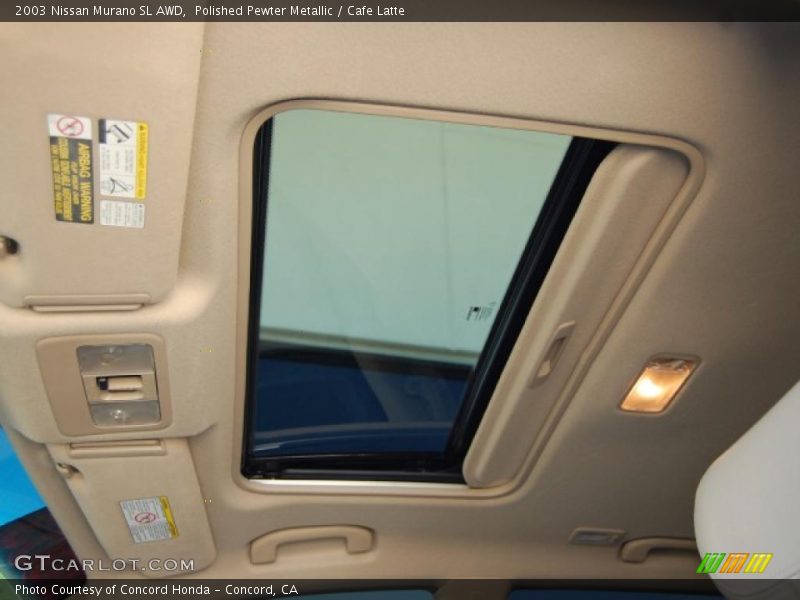 Polished Pewter Metallic / Cafe Latte 2003 Nissan Murano SL AWD