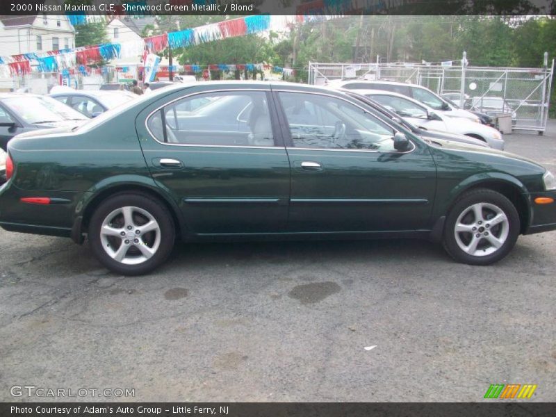 Sherwood Green Metallic / Blond 2000 Nissan Maxima GLE