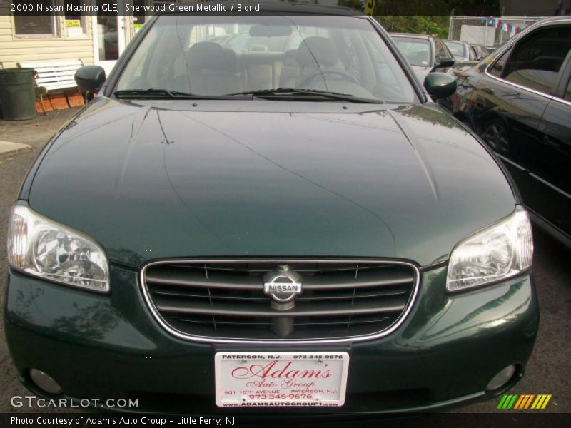 Sherwood Green Metallic / Blond 2000 Nissan Maxima GLE