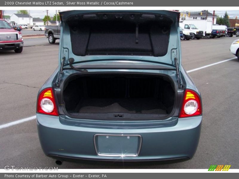 Silver Moss Metallic / Cocoa/Cashmere 2009 Chevrolet Malibu LTZ Sedan
