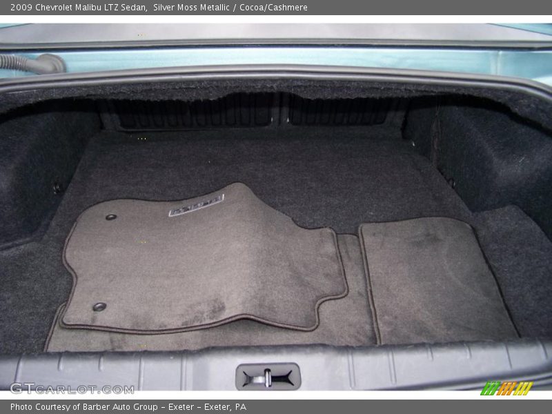 Silver Moss Metallic / Cocoa/Cashmere 2009 Chevrolet Malibu LTZ Sedan