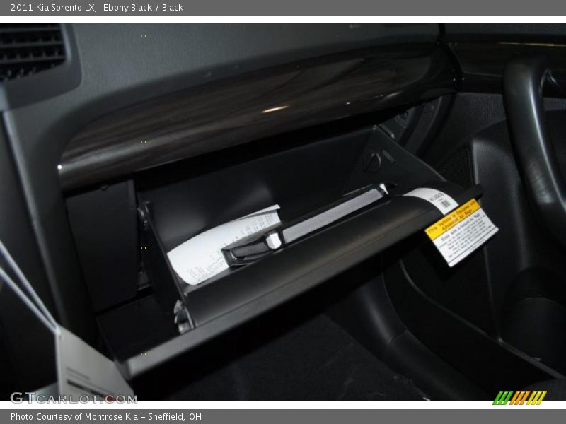 Ebony Black / Black 2011 Kia Sorento LX