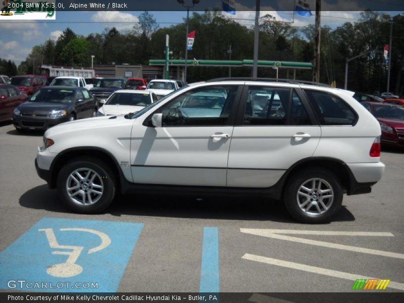 Alpine White / Black 2004 BMW X5 3.0i