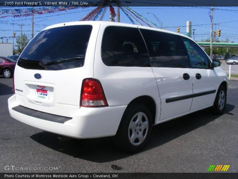 Vibrant White / Flint Grey 2005 Ford Freestar S