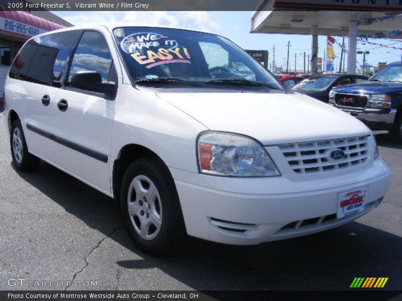 Vibrant White / Flint Grey 2005 Ford Freestar S