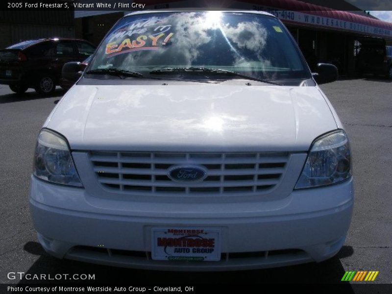 Vibrant White / Flint Grey 2005 Ford Freestar S