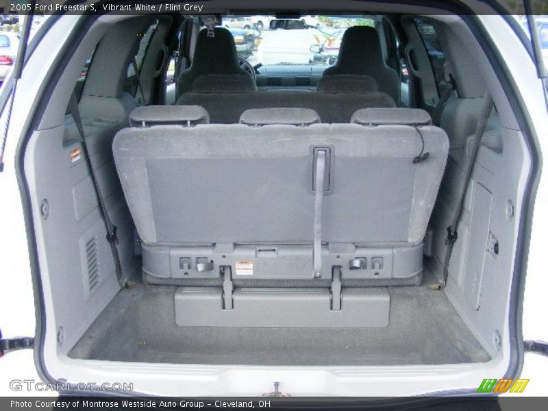 Vibrant White / Flint Grey 2005 Ford Freestar S