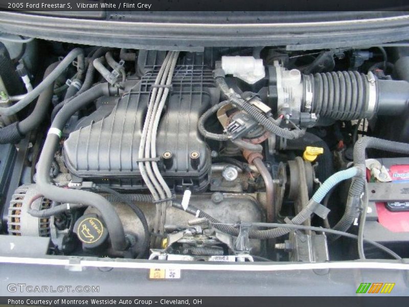 Vibrant White / Flint Grey 2005 Ford Freestar S