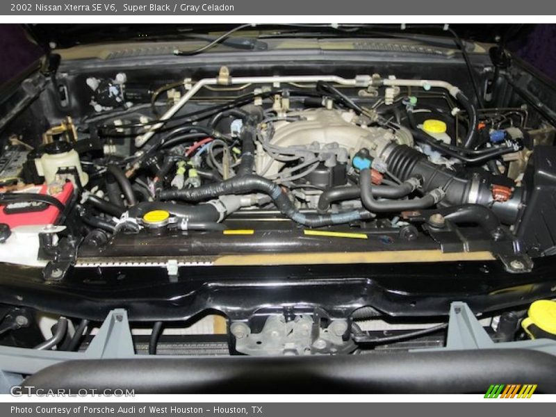 Super Black / Gray Celadon 2002 Nissan Xterra SE V6
