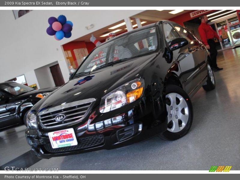 Ebony Black / Gray 2009 Kia Spectra EX Sedan