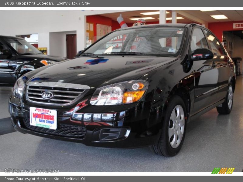 Ebony Black / Gray 2009 Kia Spectra EX Sedan