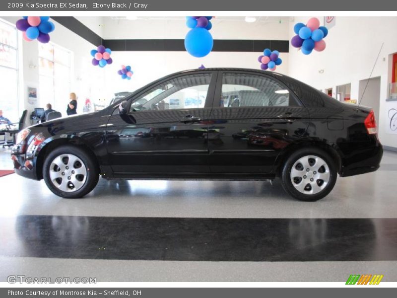 Ebony Black / Gray 2009 Kia Spectra EX Sedan