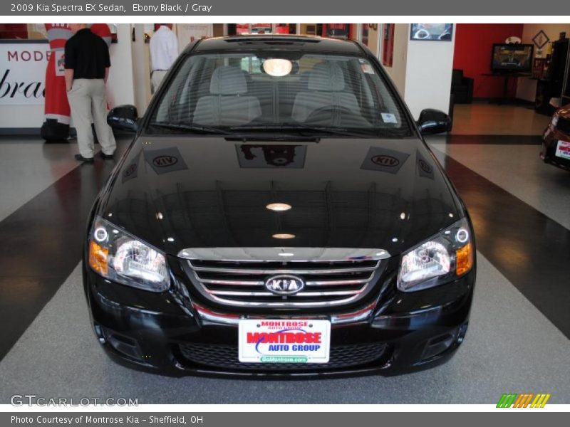 Ebony Black / Gray 2009 Kia Spectra EX Sedan