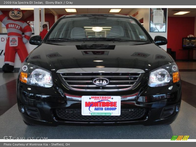 Ebony Black / Gray 2009 Kia Spectra EX Sedan
