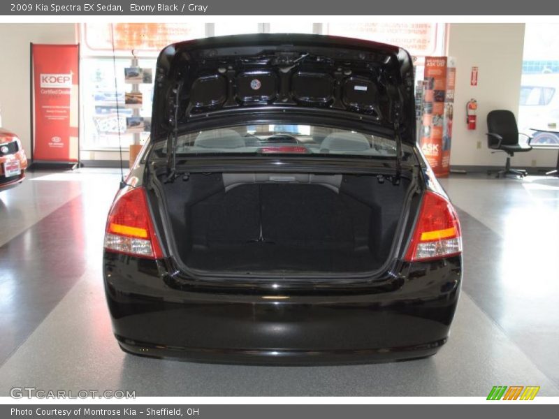 Ebony Black / Gray 2009 Kia Spectra EX Sedan