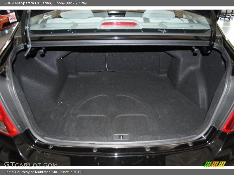 Ebony Black / Gray 2009 Kia Spectra EX Sedan