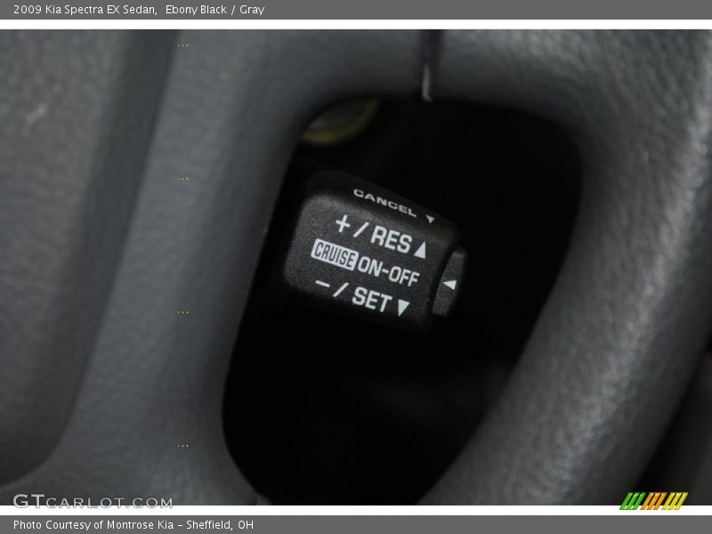 Ebony Black / Gray 2009 Kia Spectra EX Sedan