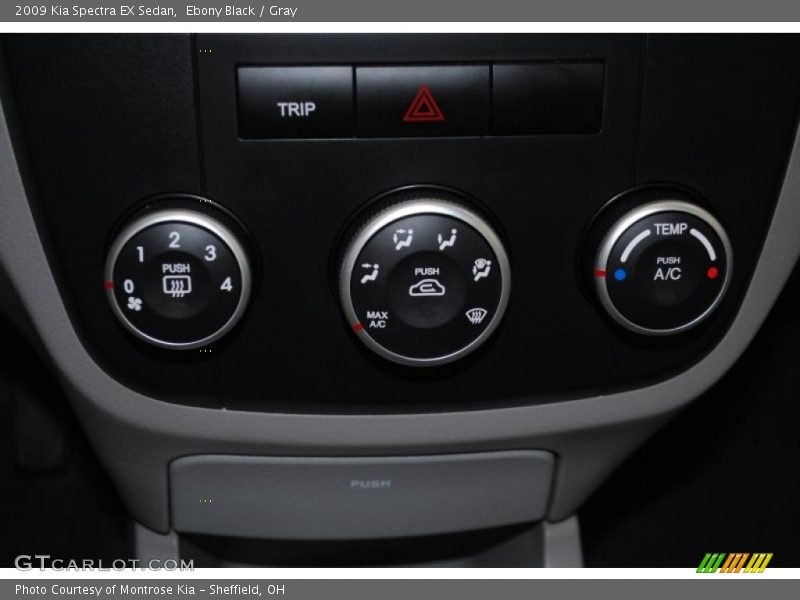 Ebony Black / Gray 2009 Kia Spectra EX Sedan