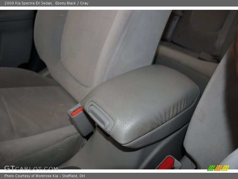 Ebony Black / Gray 2009 Kia Spectra EX Sedan