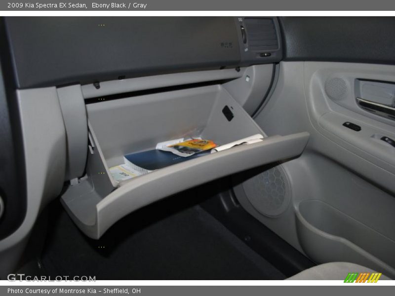Ebony Black / Gray 2009 Kia Spectra EX Sedan