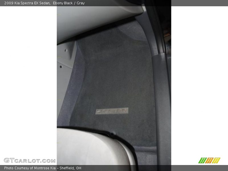 Ebony Black / Gray 2009 Kia Spectra EX Sedan