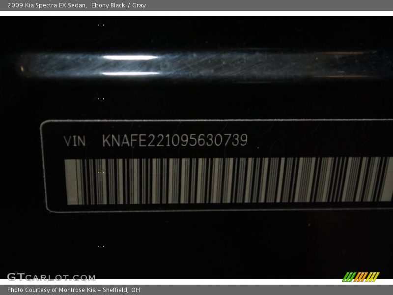 Ebony Black / Gray 2009 Kia Spectra EX Sedan