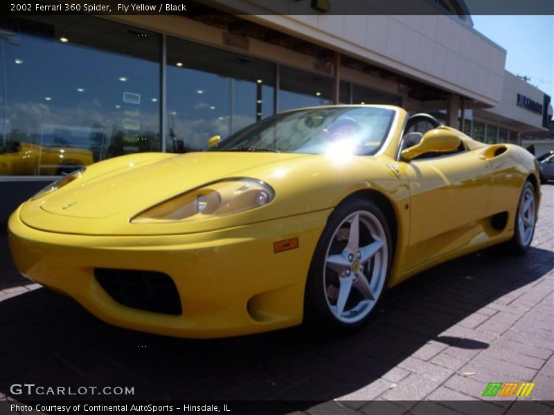 Fly Yellow / Black 2002 Ferrari 360 Spider