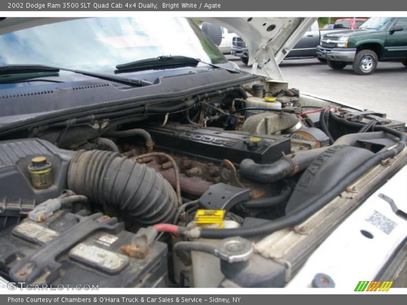 Bright White / Agate 2002 Dodge Ram 3500 SLT Quad Cab 4x4 Dually
