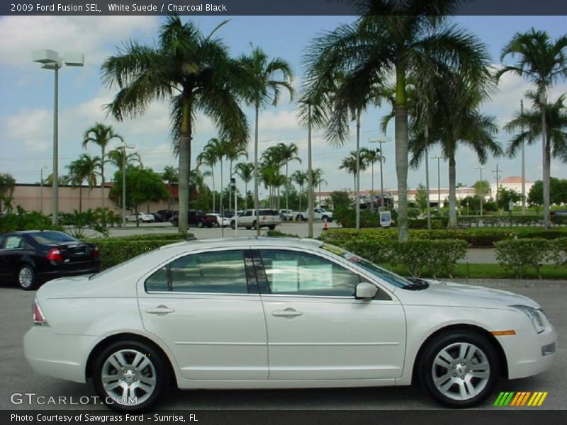 White Suede / Charcoal Black 2009 Ford Fusion SEL