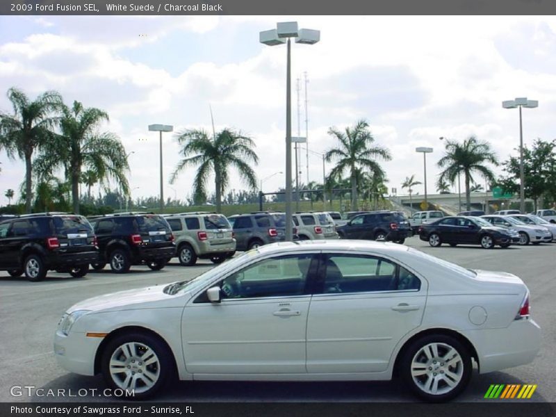 White Suede / Charcoal Black 2009 Ford Fusion SEL