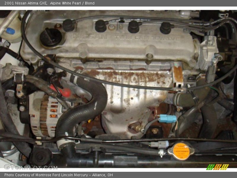 Alpine White Pearl / Blond 2001 Nissan Altima GXE