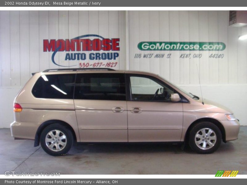 Mesa Beige Metallic / Ivory 2002 Honda Odyssey EX