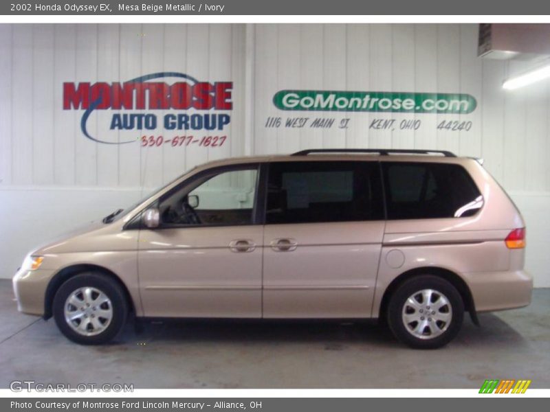 Mesa Beige Metallic / Ivory 2002 Honda Odyssey EX