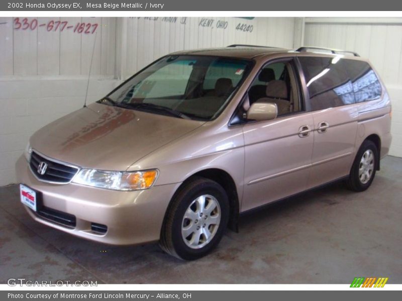 Mesa Beige Metallic / Ivory 2002 Honda Odyssey EX