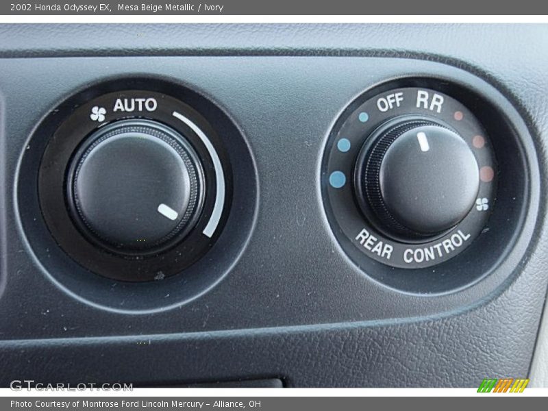 Mesa Beige Metallic / Ivory 2002 Honda Odyssey EX