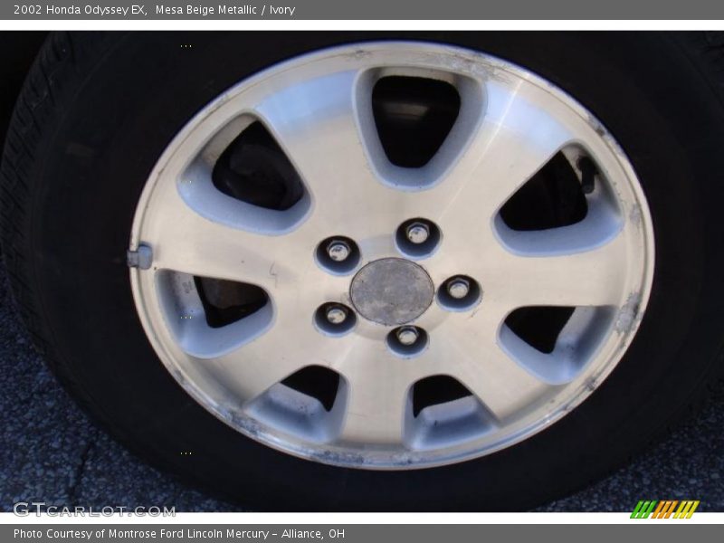 Mesa Beige Metallic / Ivory 2002 Honda Odyssey EX