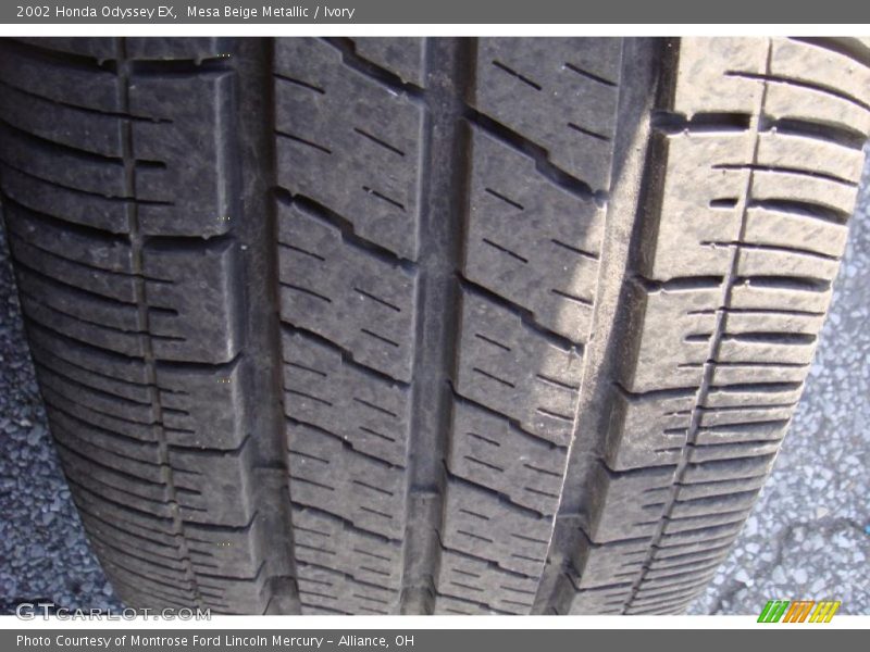Mesa Beige Metallic / Ivory 2002 Honda Odyssey EX