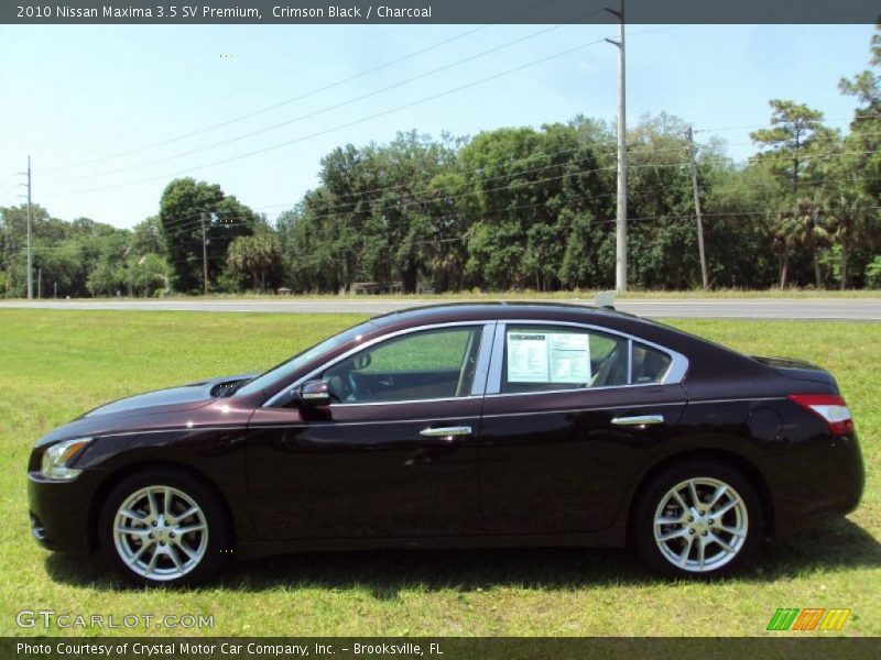 Crimson Black / Charcoal 2010 Nissan Maxima 3.5 SV Premium