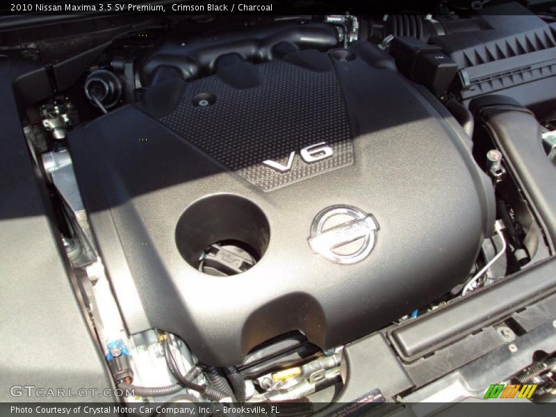 Crimson Black / Charcoal 2010 Nissan Maxima 3.5 SV Premium