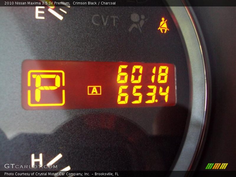 Crimson Black / Charcoal 2010 Nissan Maxima 3.5 SV Premium