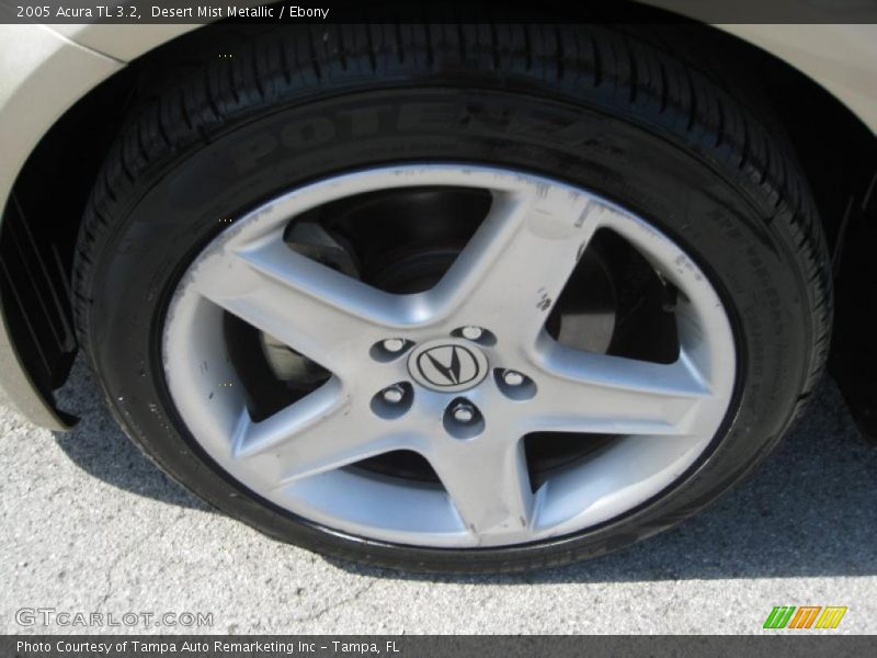 Desert Mist Metallic / Ebony 2005 Acura TL 3.2