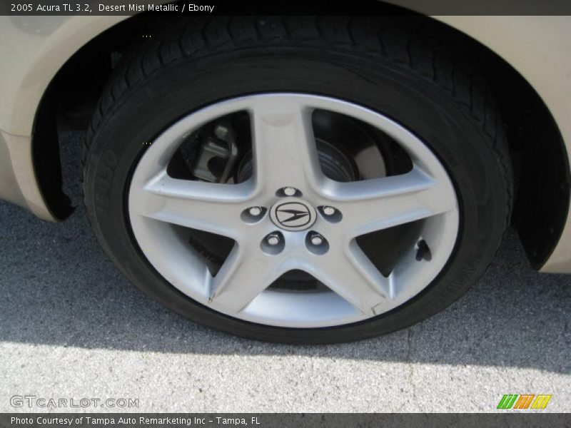 Desert Mist Metallic / Ebony 2005 Acura TL 3.2