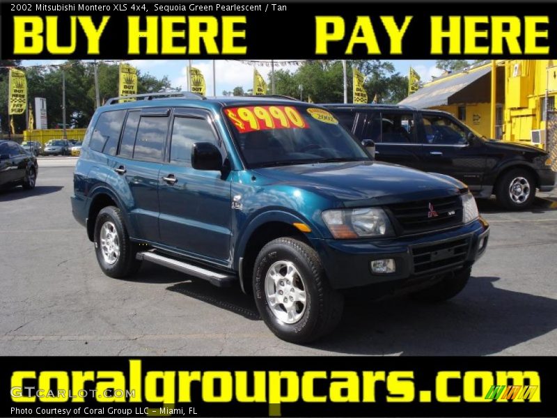 Sequoia Green Pearlescent / Tan 2002 Mitsubishi Montero XLS 4x4