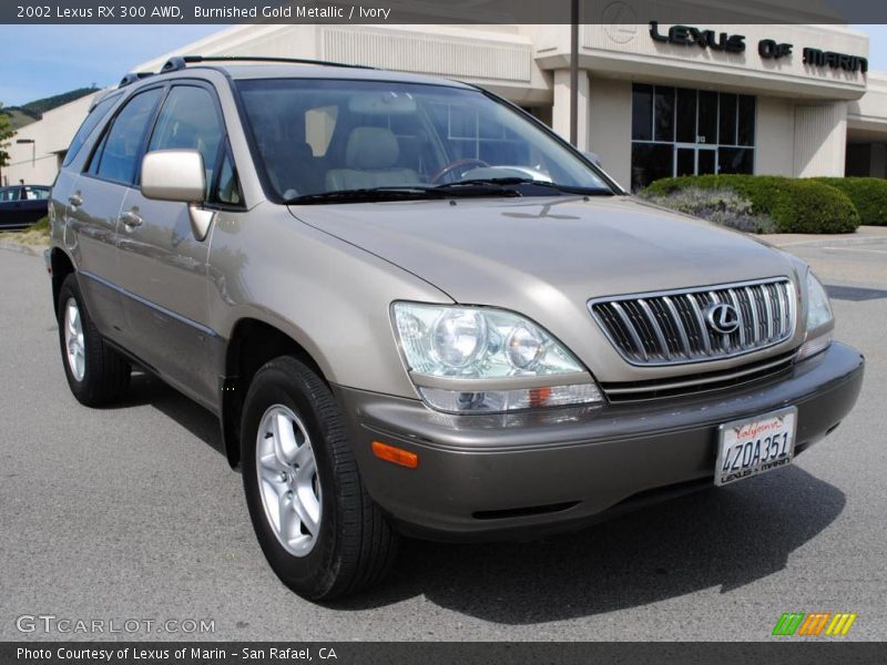 Burnished Gold Metallic / Ivory 2002 Lexus RX 300 AWD