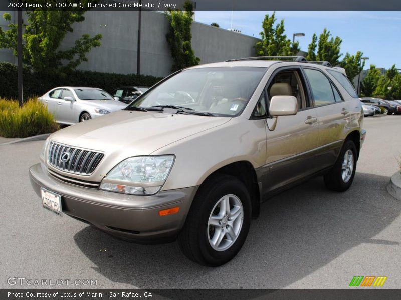 Burnished Gold Metallic / Ivory 2002 Lexus RX 300 AWD
