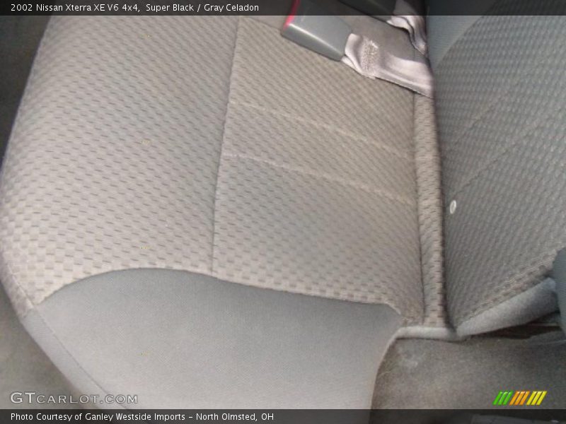 Super Black / Gray Celadon 2002 Nissan Xterra XE V6 4x4