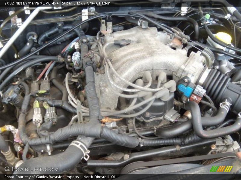 Super Black / Gray Celadon 2002 Nissan Xterra XE V6 4x4