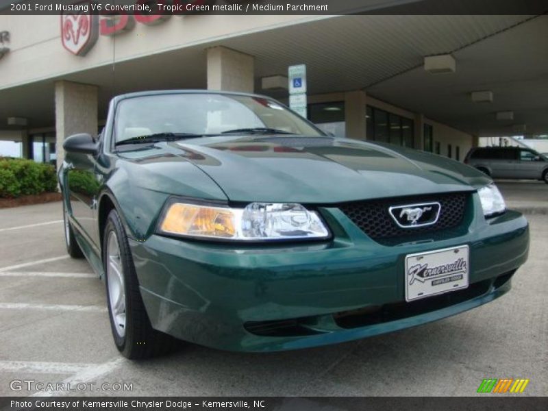 Tropic Green metallic / Medium Parchment 2001 Ford Mustang V6 Convertible