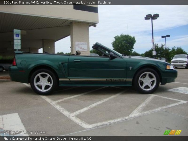Tropic Green metallic / Medium Parchment 2001 Ford Mustang V6 Convertible